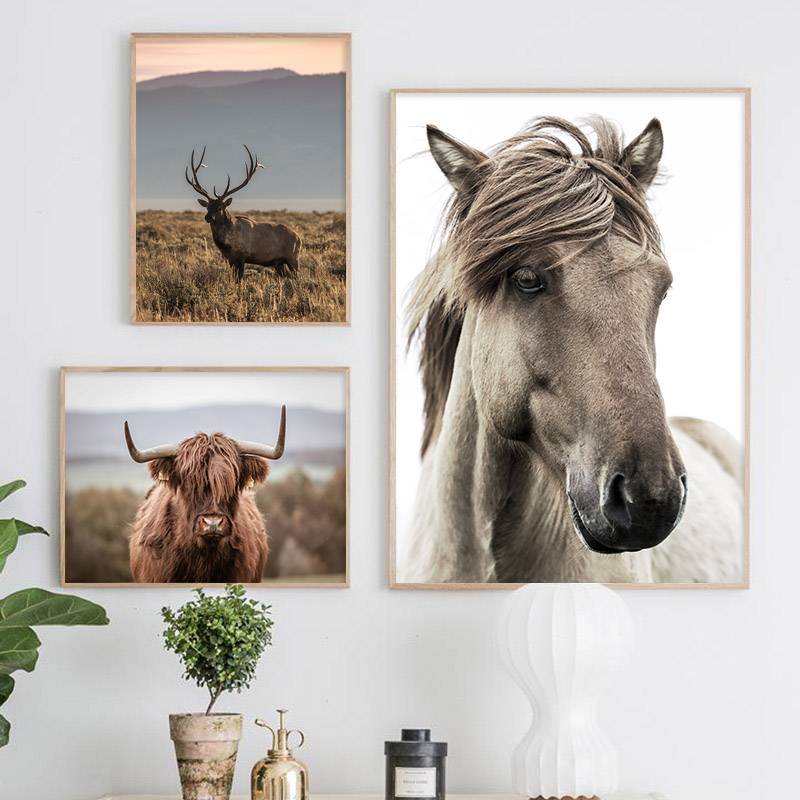 Plakaty zwierzęta w naturze - Horse decorateo.pl